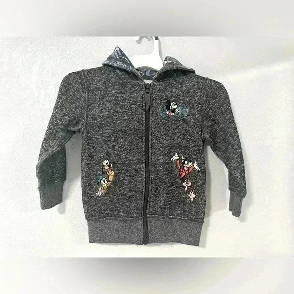 24. Walt Disney World Parks Youth Lg Hoodie Jacket Mickey Goofy All Embroidered - Picture 1 of 6